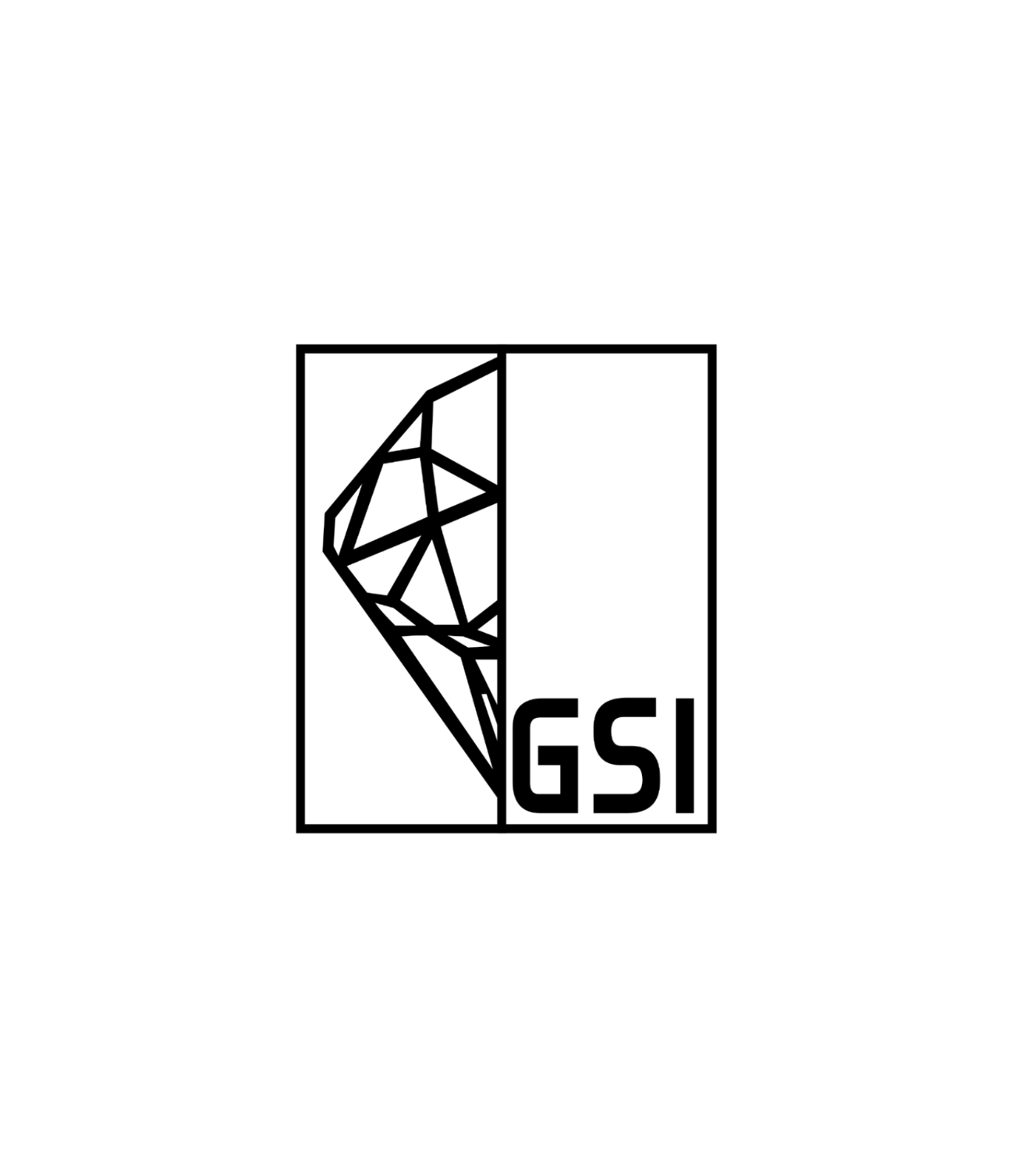 Black and white GSI logo featuring a faceted geometric diamond on the left and the bold letters 'GSI' on the right.